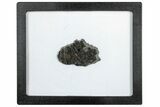 Polished Lunar Meteorite ( g) Slice - Dayet el Aam #304385-1